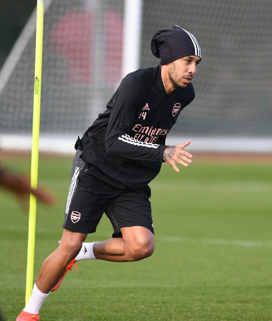 关于波特兰开拓者完成体检备战欧联本菲卡手感冰凉备战法甲，这一次真的风云突变国际米兰清晨临场应变的信息